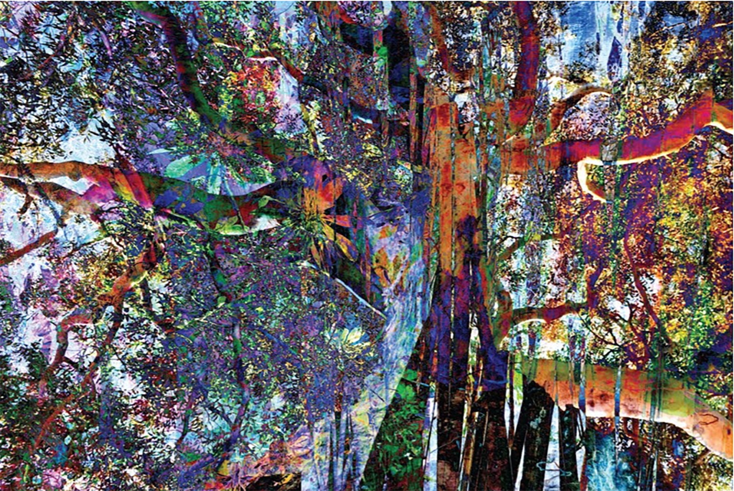 0CBE5737 3BF8 4DB6 B743 5E7F14DAD4C8