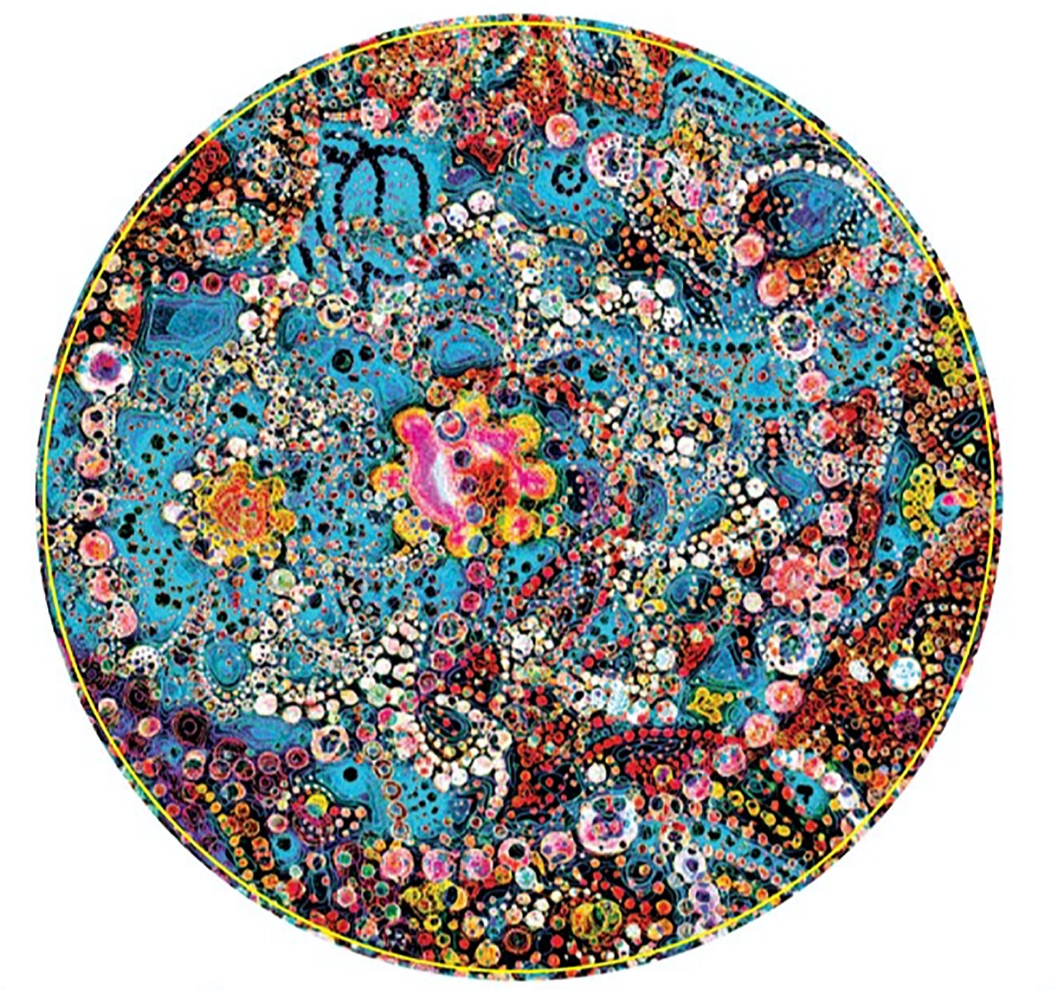 15551C8B 425F 4274 BFAD DE25767BF64E