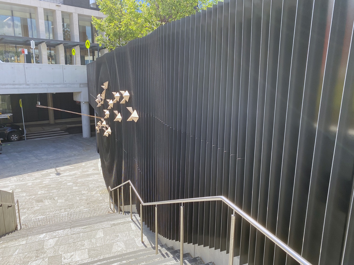 763EE996 E23D 45DF AE81 734B6711C028.jpeg