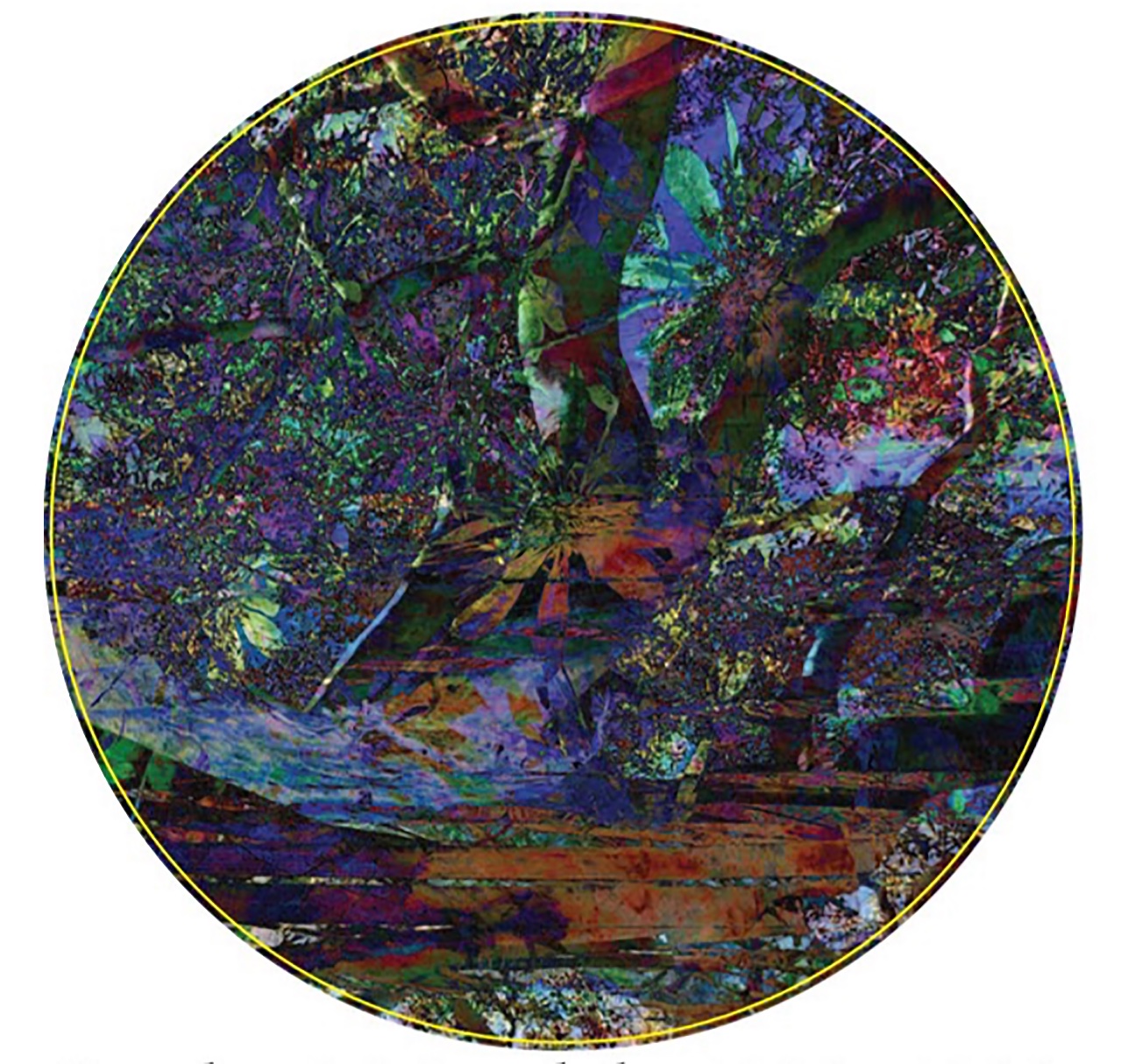 82199ED5 3F96 4292 8924 C934C412DA55