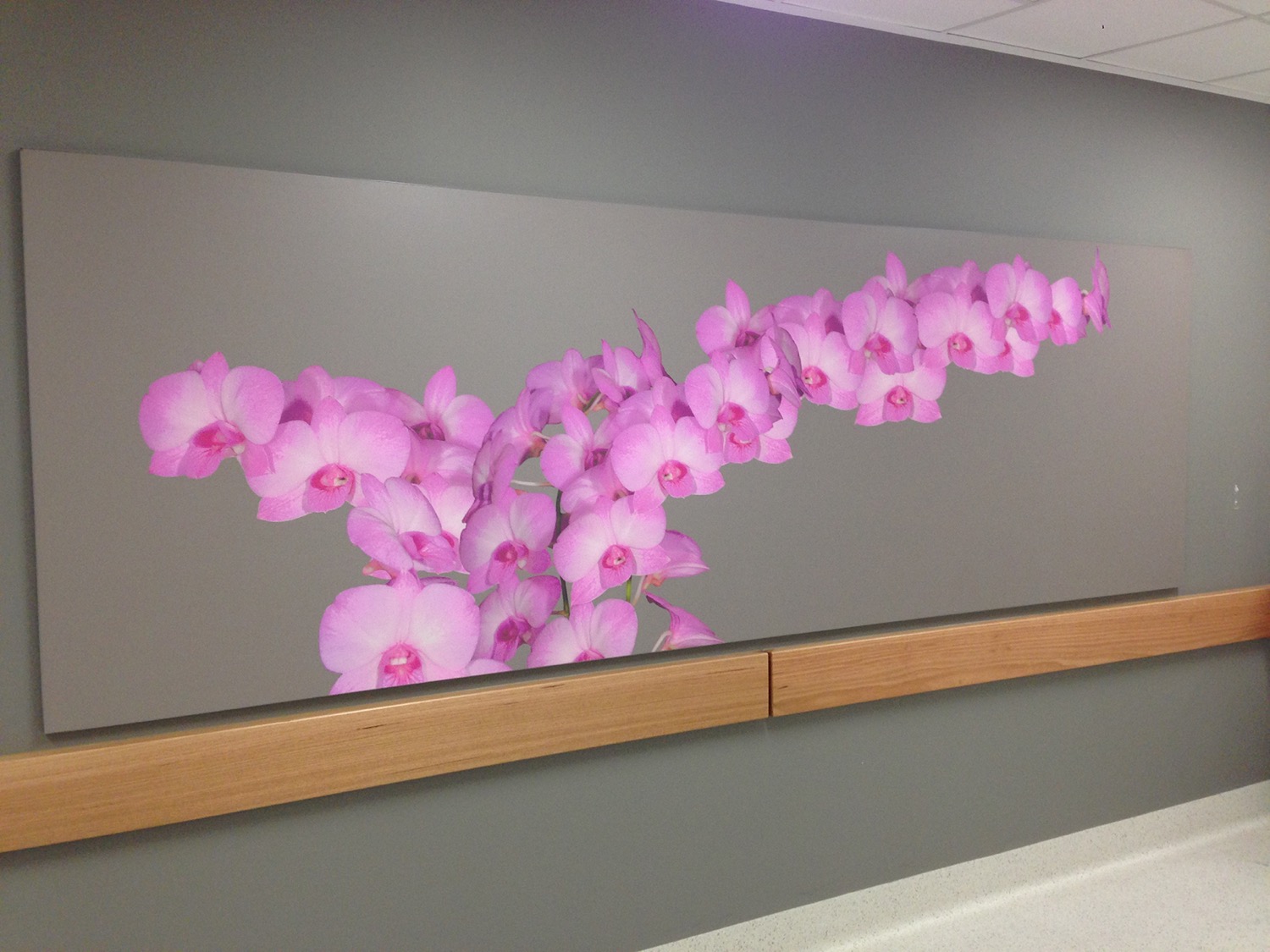 drag and drop img 219