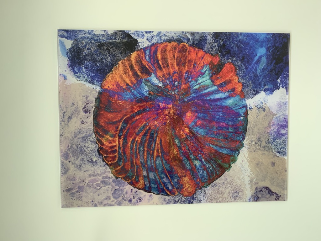 drag and drop img 221