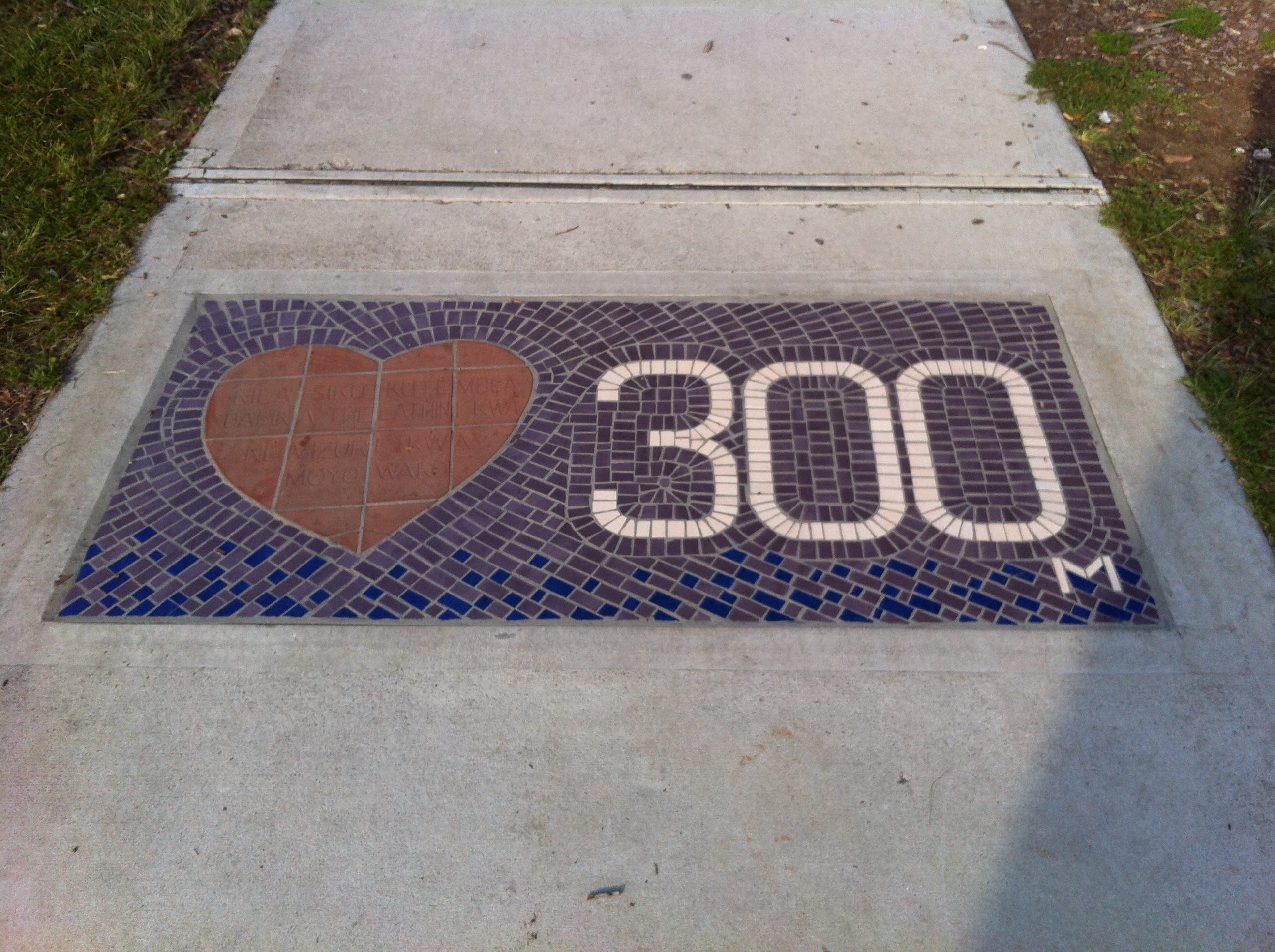 drag and drop img 3075