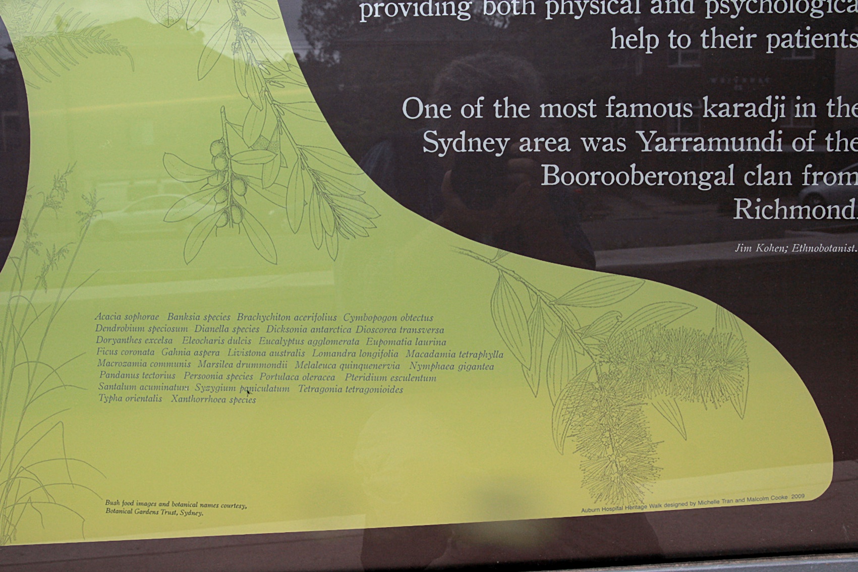 placeholder image-sq