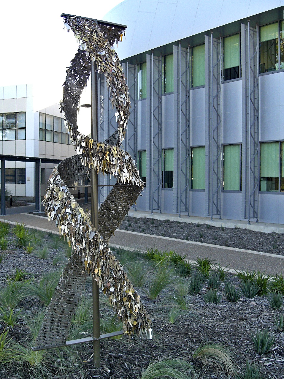 placeholder image-sq