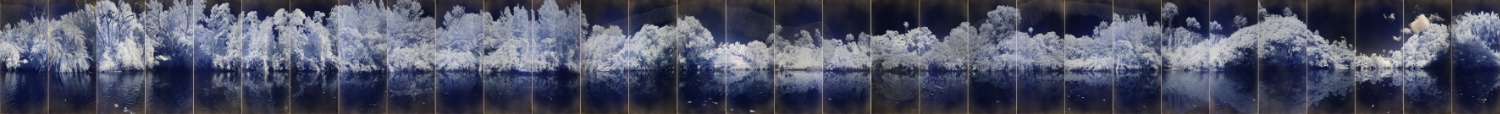 panels%20copy
